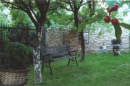 Danuta Sęk - Mój ogród